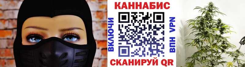 Продажа наркотиков Тайга Бошки Шишки  Амфетамин  COCAIN  Гашиш  Лсд 25  Мефедрон 