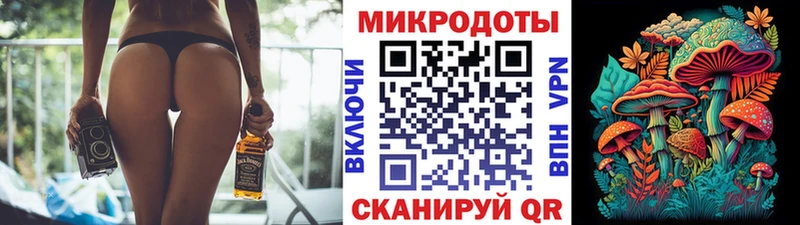 наркошоп  Тайга  Галлюциногенные грибы ЛСД 
